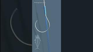 Gt knot | fishing knot and connections that excel at joining the main fishing line to aleader