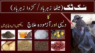 Suk Tak ka Desi ilaj | Zeharbad ka Desi ilaj | Dairy Farming in Pakistan