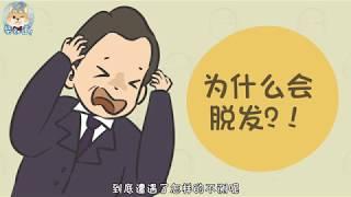 人为什么会秃头？Why do people go bald?【柴知道ChaiKnows】【科普Science】【冷知识Trivia】