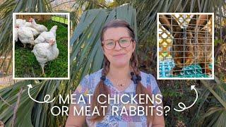 Are meat chickens or meat rabbits better for the small homestead?