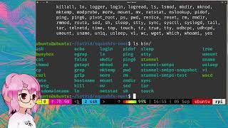 IoT Hacking - Firmware Analysis and Emulation