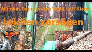 Mit dem Deutz in den Wald und Kiefer Leichen zerlegen