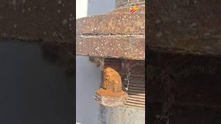 Connecting Galvanized Iron Pipe to UPVC Pipe for Plumbing work 🪚️#plumber #plumbing #galvanized