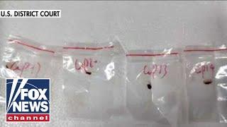 Chinese nationals charged with smuggling 'devastating' biological pathogen into US