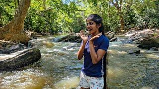 කැළේ මැද මැරිච්ච ඇතා - Kirindi Oya and Lunugamwehera safari ft @SharDhVlogz