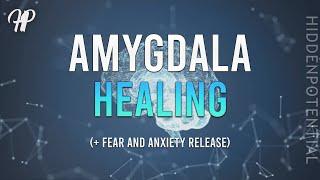 Amygdala Healing (+ Fear and Anxienty Release) Subliminal