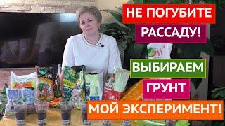 ОБЗОР ГРУНТОВ ДЛЯ РАССАДЫ! БОЛЬШОЙ ЭКСПЕРИМЕНТ!