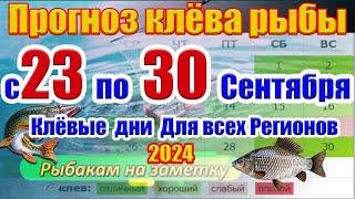 Прогноз клева рыбы на неделю с 23 по 30 Сентября Прогноз клева Лунный Календарь рыбака