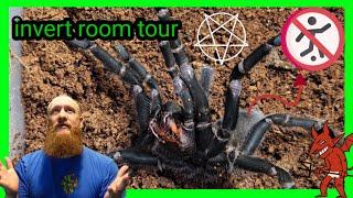 invert room tour part 18 #roomtour #tarantula #spiders