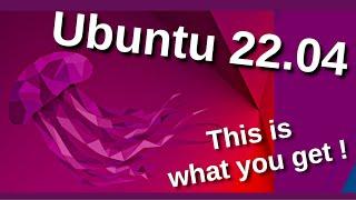 Ubuntu 22.04 LTS - Jammy Jellyfish - Is this the best Linux Distro 2022 ?