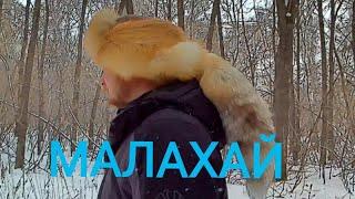 МАЛАХАЙ!!! Сшил шапку из лисы!