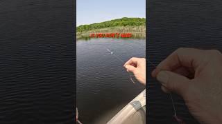 No bobber necessary 