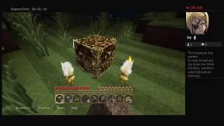 Elyk_Karasagi Plays MineCraft