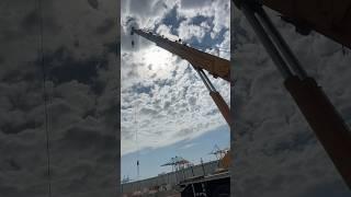 The Most Historic Day in Human History#shortvideo #shortsfeed #ytshorts#shorts