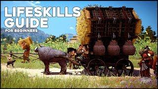 Black Desert Online ► Updated Lifeskills Guide for Beginners (2017)