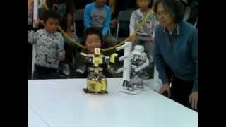 Humanoid Robots Pro-Wrestling Final, Nagare-Gold  vs Saaga