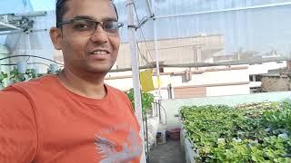 Thank you #Arvind Dhakad Sir for starting my journey in Hydroponics