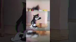 #Tom and Jerry #fuuny #kartoon #jindagi ek Safar he Suhana