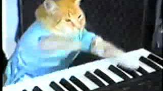 Play Her Off, Keyboard Cat