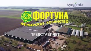 Syngenta сняла ролик о Фортуне. Приятный подарок.