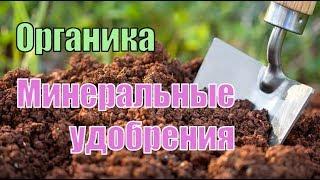 Основное внесение минеральных и органических удобрений под малину и ежевику