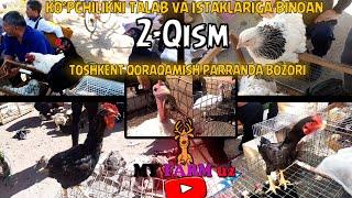 Toshkent Qoraqamish parranda  bozori narxlari // Zotli parrandalar narxlari | 2-qism