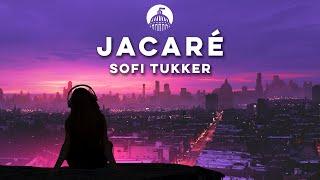 SOFI TUKKER - Jacaré