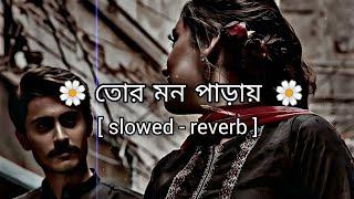 Tor Mon Paray Lofi | (slowed - reverb) | Mahdi Sultan | তোর মন পাড়ায় | Jisan Khan Shuvo |sai GINI