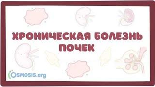 Хроническая Болезнь Почек (ХБП, ХПН) - причины, симптомы, клиника, лечение (лекция)