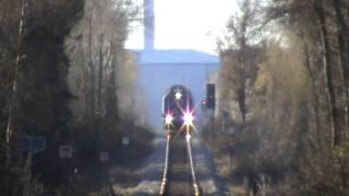 A Danish regional train passes through forest