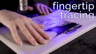 [ASMR] Fingertip Tracing on Matte Surfaces for Sleep and Relaxation (NO TALKING)