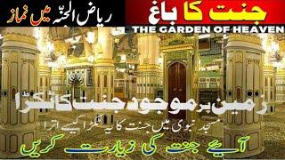 riaz ul Janna history | riaz ul Janna Madina shareef | riaz ul Janna nusuk #riazuljannah #madina