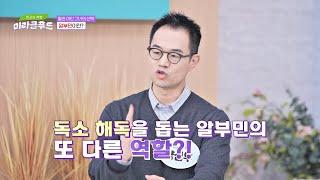 체내 영양소를 운반하는 몸속 해독 배달원 알부민 | 최고의 처방 미라클 푸드 276회 | JTBC 241218 방송