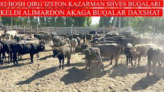 ALIMARDON AKANI QIRG’IZSTON KAZARMAN SHVES BUQALARI KELDI 82/BOSH BUQALAR UDAR