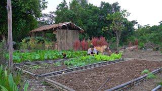 Gardening to grow more types of vegetables, Taking care of animals, Cooking delicious noodles