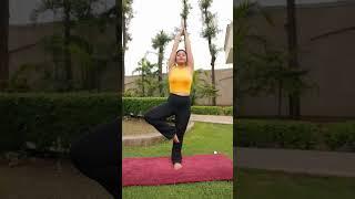 2024 Women's Affordable Yoga Leggings | 2024 Women's Best Yoga Leggings | High Waist Best Yoga Pants