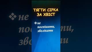 Фразеологізми #укрмова #нтм