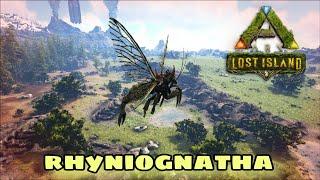 Rhyniognatha Taming [The Last Creature Of ASE] || ARK Lost Island