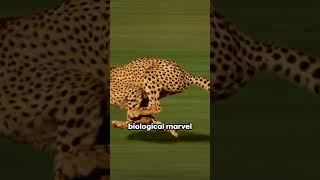 3 Science Facts That Will Blow Your Mind! #ScienceShorts