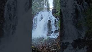 Vancouver Island Waterfalls  So many to see all over the island!  #vancouverisland