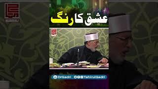 The color of love | Shaykh-ul-Islam Dr Muhammad Tahir-ul-Qadri