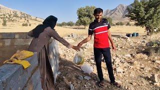 The Inspiring Struggle of a Nomad Mother Building a Mountain Home with Bare Hands