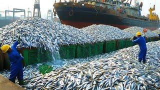 How fishermen fish in the vast ocean, catching and processing thousands of fish each year with boats
