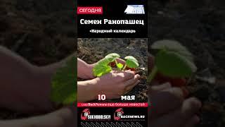 Сегодня, 10 мая, Семен Ранопашец