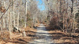 Going on a hike through the woods