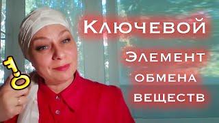 Белковый завтрак или ужин?? Как наладить обмен веществ | Ключевой элемент | (Доктор Елена Глухова)