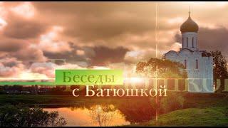 Беседы с батюшкой 10 декабря 2021 года