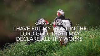 KJV Psalm 73:28 | Scripture Song