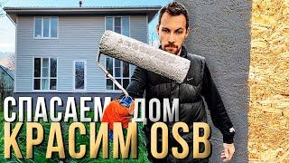 Серая ГНИЛЬ! Чем покрасить OSB? Спасаем фасад дома!