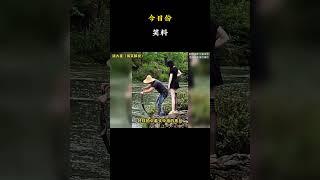 太有爱啦！！ #名場面 #離譜操作 #雜談